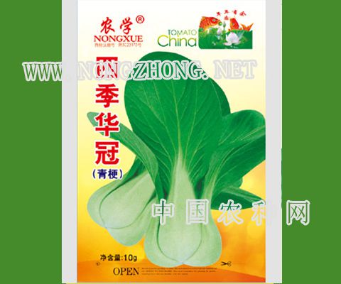 四季华冠油菜种子